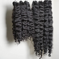 Burmese Curly