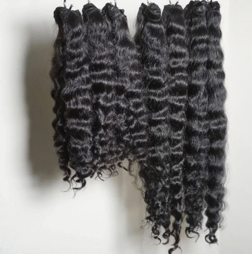 Burmese Curly